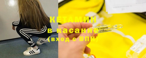 трава Аркадак